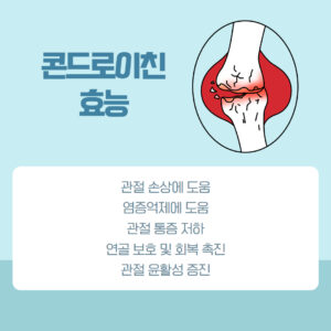 콘드로이친 효능