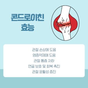콘드로이친 효능
