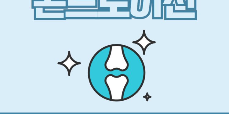 콘드로이친 효능