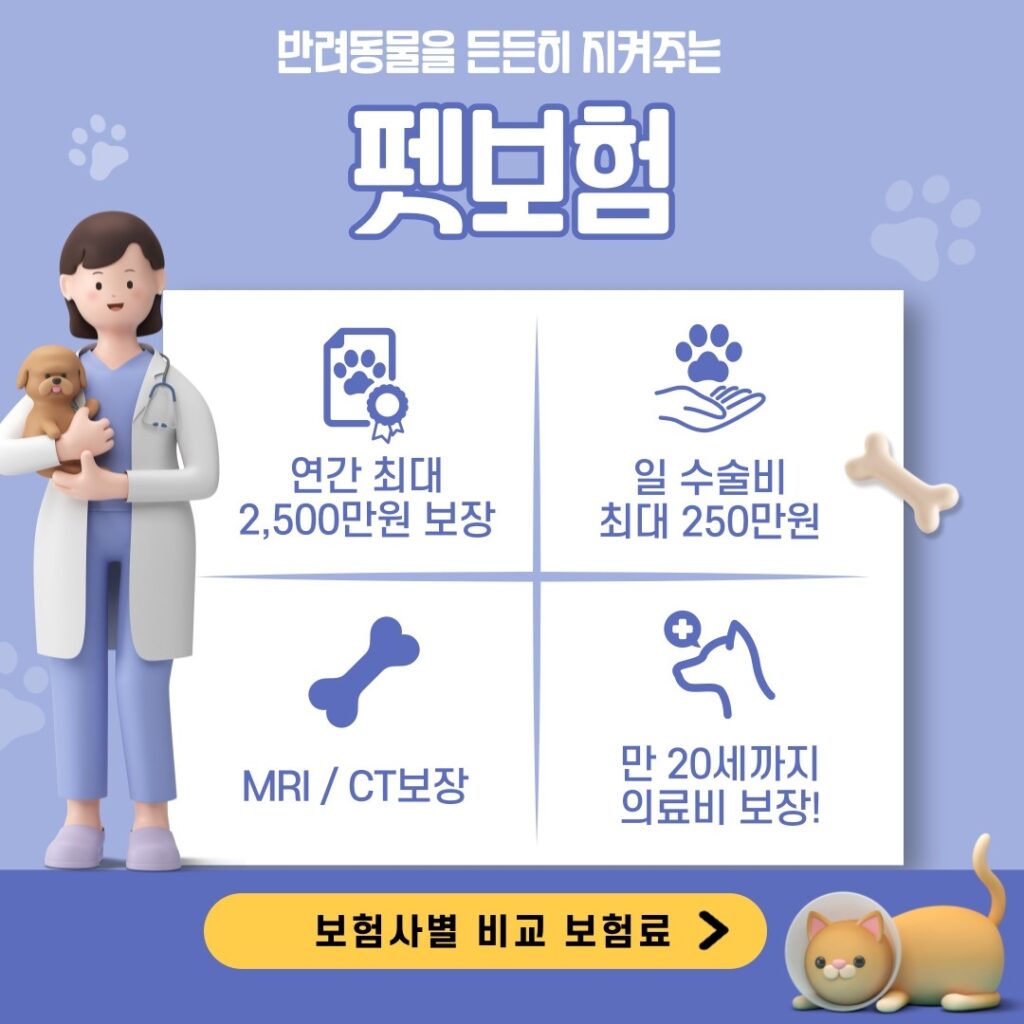 펫보험비교_펫보험추천